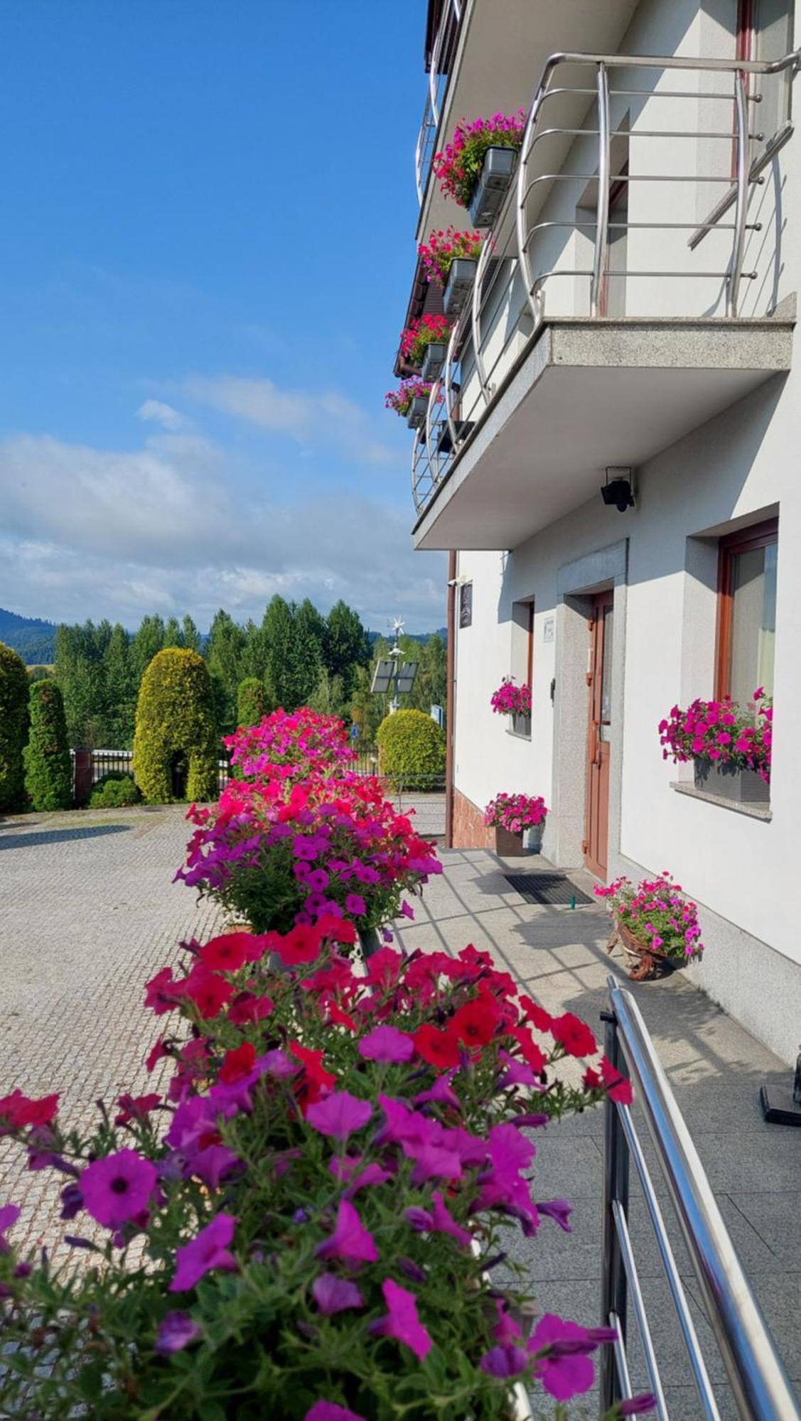 Gosciniec Pieninski Kluszkowce Exterior foto